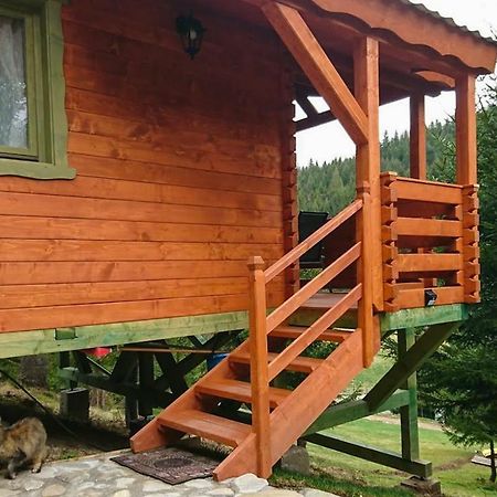 Cabana Casa Craita Zărneşti Buitenkant foto