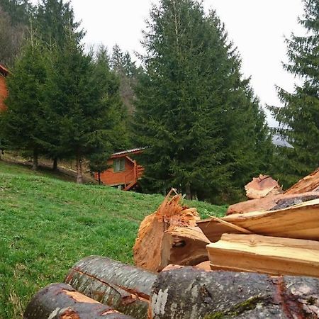Cabana Casa Craita Zărneşti Buitenkant foto