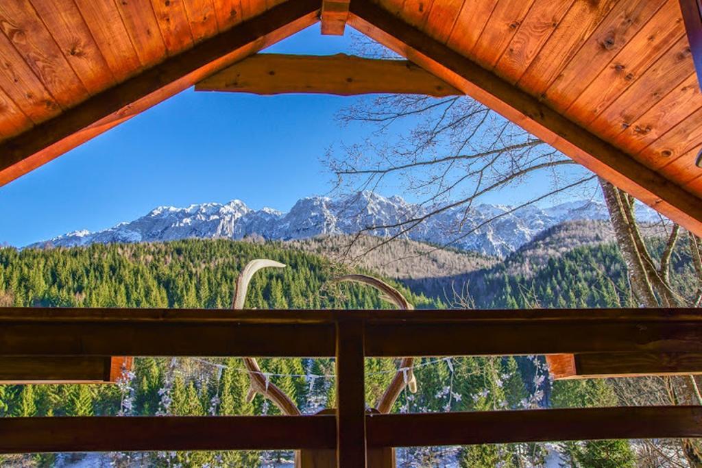 Cabana Casa Craita Zărneşti Kamer foto