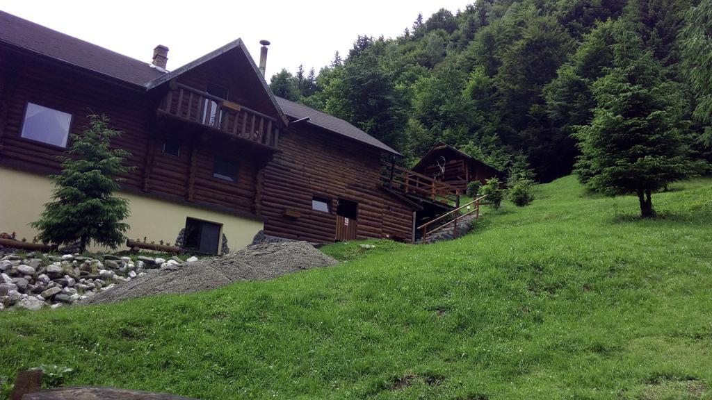 Cabana Casa Craita Zărneşti Buitenkant foto