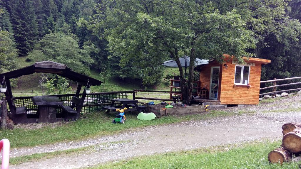 Cabana Casa Craita Zărneşti Buitenkant foto