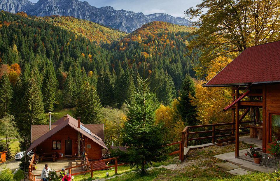 Cabana Casa Craita Zărneşti Buitenkant foto