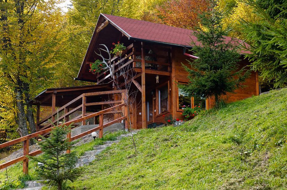 Cabana Casa Craita Zărneşti Buitenkant foto