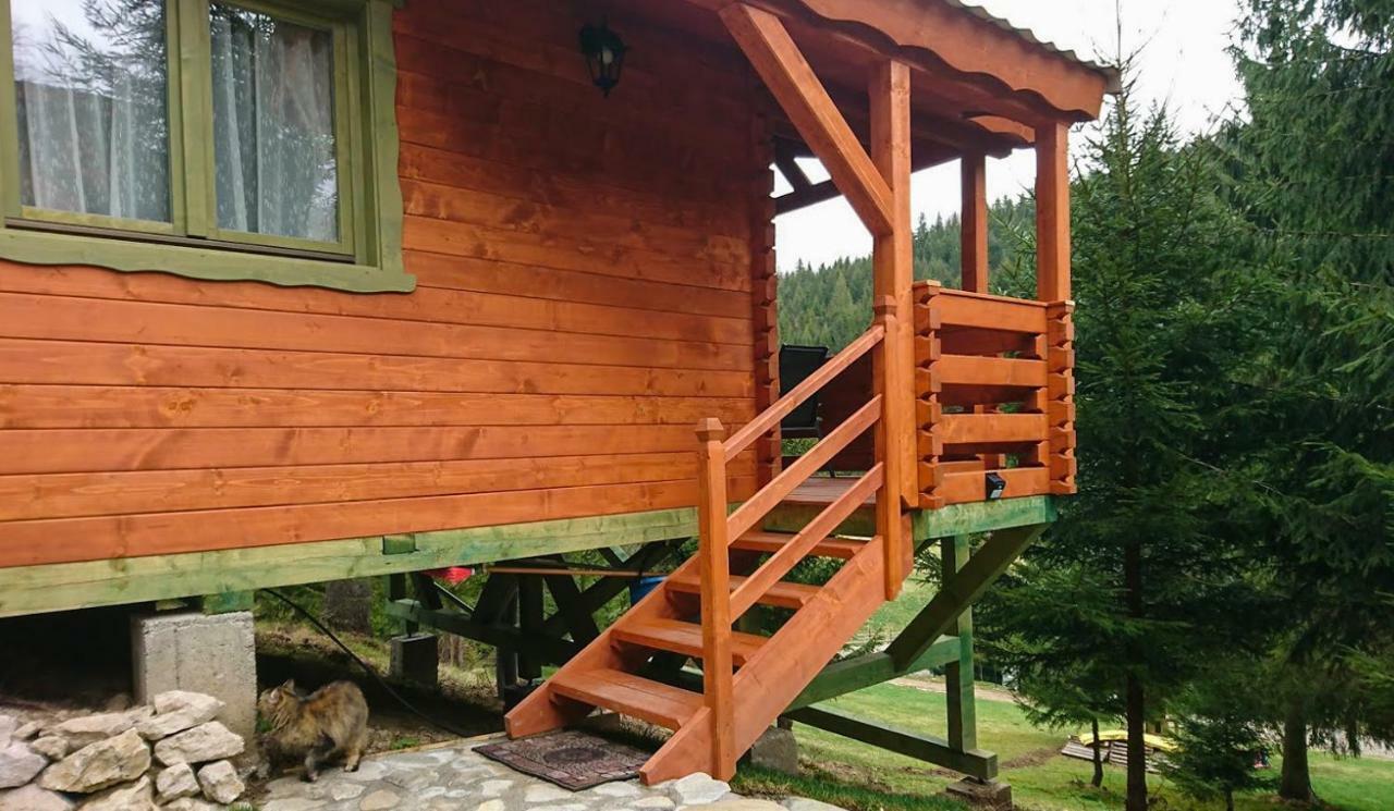 Cabana Casa Craita Zărneşti Buitenkant foto