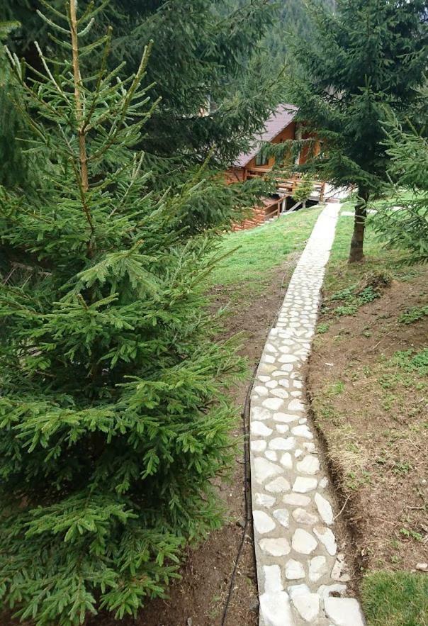 Cabana Casa Craita Zărneşti Buitenkant foto