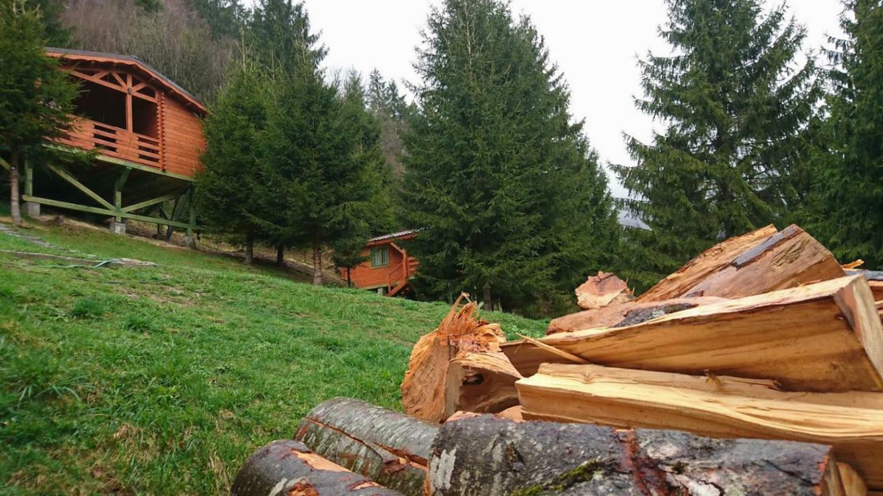 Cabana Casa Craita Zărneşti Buitenkant foto
